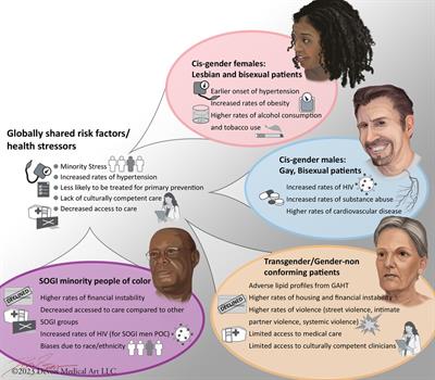 LGBTQ+ cardiovascular health equity: a brief review